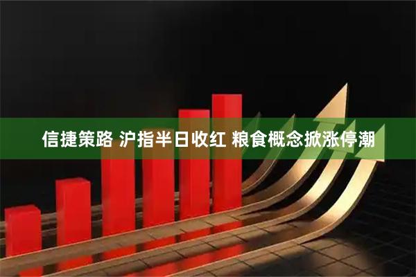信捷策路 沪指半日收红 粮食概念掀涨停潮