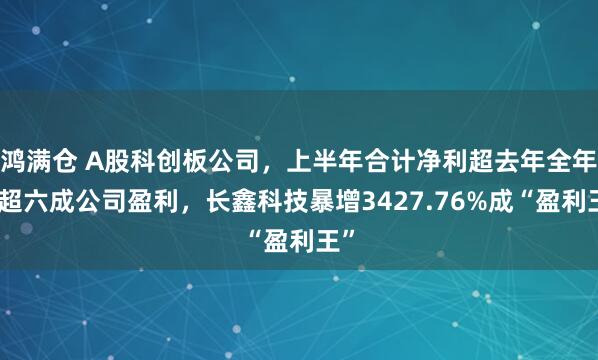 鸿满仓 A股科创板公司,上半年合计净利超去年全年,超六成公司盈利,长鑫科技暴增3427.76%成“盈利王”